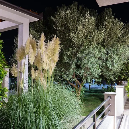Oliva Trebinje